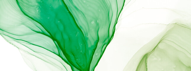 Floral Water Imitation. Modern Art. Watercolor Texture. Watercolor Pattern. Deep Green Alcohol Ink Art. Ink Graffiti. Alcohol Ink Print. Green Watercolor Print. Splash Banner.