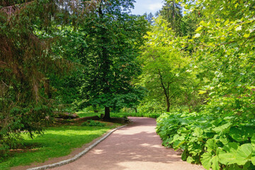 Peaceful day. Walking path in park on sunny summer day. Ukraine, Uman. Sofiyivka, national park of Ukraine