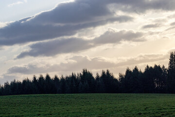 green field leading to cloudy sky over forest