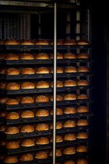 Hamburger and sandwich breads prepared untouched in the factory environment