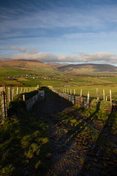 Shadowed Path To Dingle Hills
