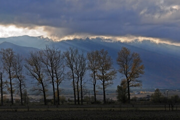 View fron train window in autumn