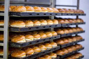 Hamburger and sandwich breads prepared untouched in the factory environment