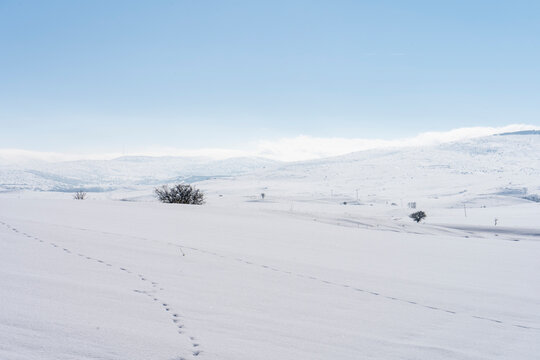 snow landscape image, footprints