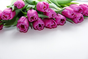 Purple tulips on a white background. Spring bouquet of purple tulips on a light background.