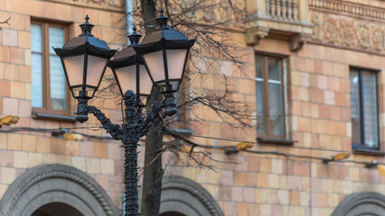 Fototapeta na wymiar Vintage lantern with empty branches in the city on building background. Beautiful streetlight in front of old building.