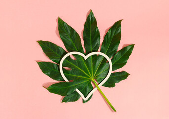 Minimal concept with green glossy paper plant and white heart shaped card frame. Creative layout on pastel pink background. Flat lay.