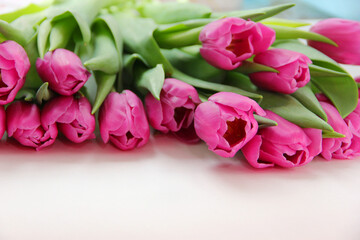 Purple tulips on a white background. Spring bouquet of purple tulips on a light background.