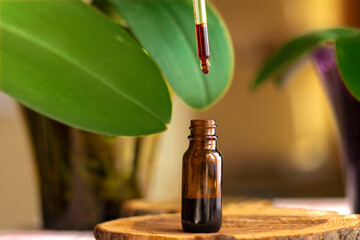 a drop of serum with a pipette drips over a brown glass jar on green background close-up. selective focus. beauty concept. natural cosmetic. Daily skin care. Anti-aging serum with natural ingredients