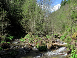 A deserted island on the river