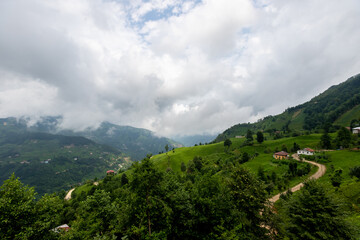 Fototapeta premium rize çamlıhemşin yayla manzarası