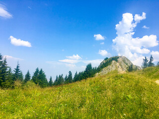 grass and blue sky, Postavaru Mountains, Romania 