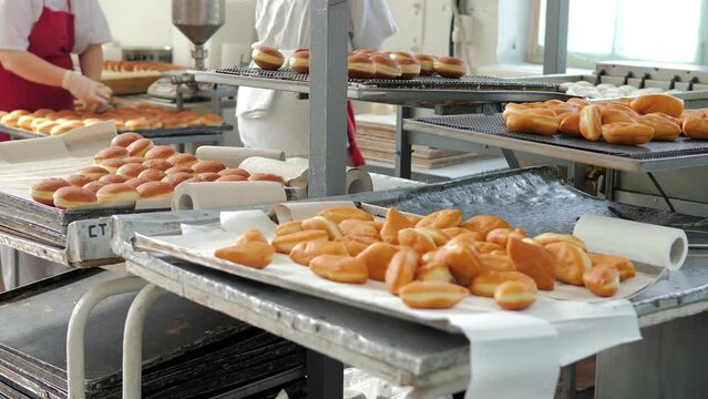 Preparation of fresh fried doughnuts with stuffing at the production factory. Women's gloved hands lay out freshly prepared donuts and stuff them with stuffing