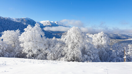Fototapeta na wymiar snow covered mountains, Urechea Ridge, Baiului Mountains, Romania 
