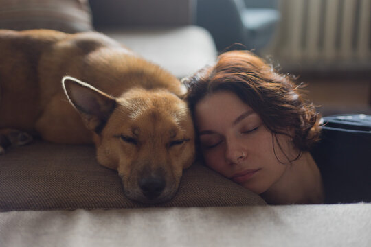 portrait of a girl and a dog
