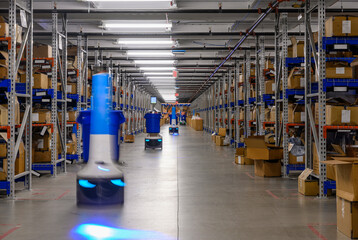 Three Robots at Warehouse of E-Commerce shipment 