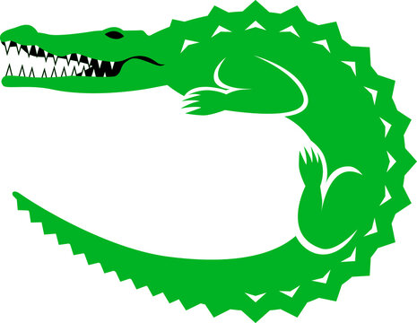 Rounded Crocodile, vector illustration, icon, logo