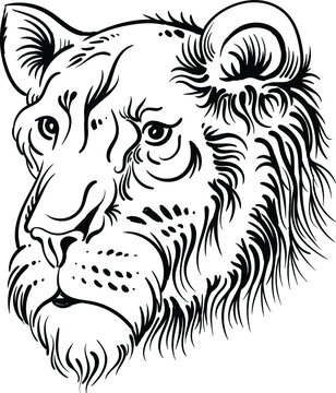 The Vector logo lion for tattoo or T-shirt print design or outwear.  Hunting style lions background. This hand drawing would be nice to make on the black fabric or canvas.