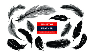 : Big set of feather silhouette