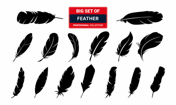 : Big Set Of Feather Silhouette