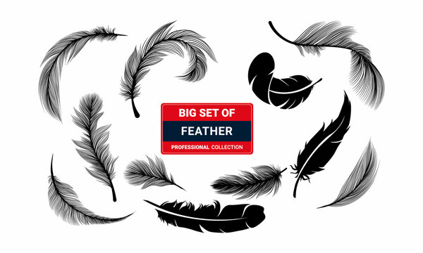 : Big Set Of Feather Silhouette