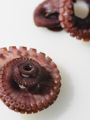 Octopus close-up on white background.Cooking seafood cuisine