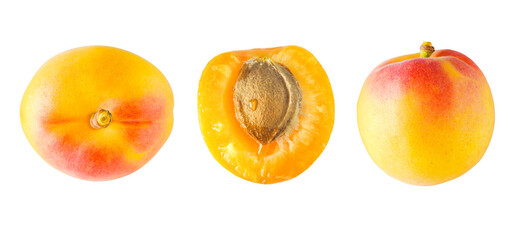 Macro isolated apricots on white background in different positions. 