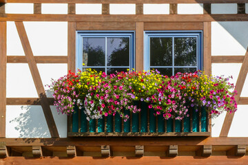 Fototapeta na wymiar Fachwerkhausfassade mit Fenster, üppinger Blumenschmuck