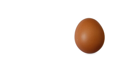 Fresh chicken eggs with orange shell