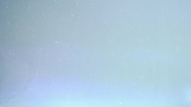 a flock of black crows flying towards the camera