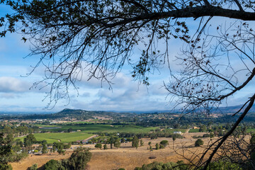 View of the Napa Valley from the Skyline wilderness park, California, USA.  - obrazy, fototapety, plakaty