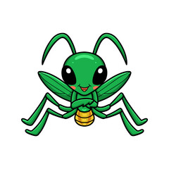 Cute little mantis cartoon character