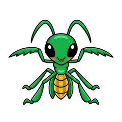 Cute little mantis cartoon character