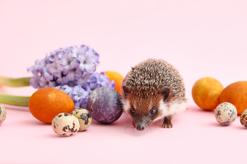 Cute hedgehog with Easter eggs and flowers on pink background