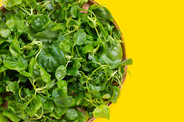 Fresh watercress in bamboo basket