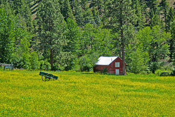Red Cabin and Green Wagon in Meadow