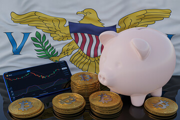 Bitcoin and cryptocurrency investing. United States Virgin Islands flag in background. Piggy bank, the of saving concept. Mobile application for trading on stock. 3d render illustration.