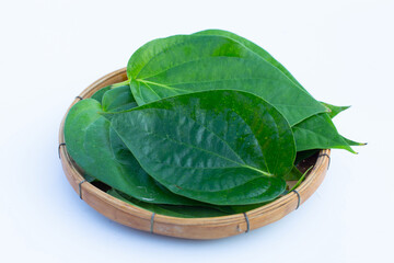 Green betel leaves, Fresh piper betle on white background