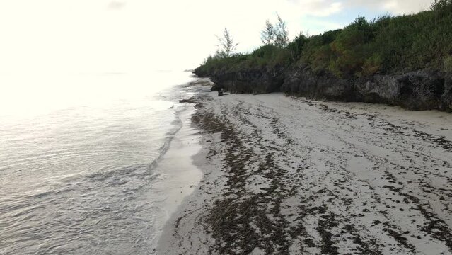 Beach on Zanzibar island, Tanzania, Africa