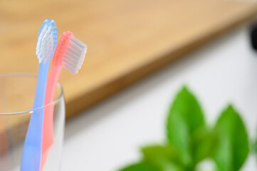 歯ブラシ　2本　新生活　カップル　夫婦