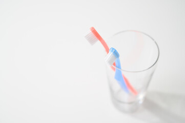 歯ブラシ　白バック　同棲　新生活