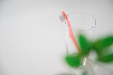 歯ブラシ　白バック　同棲　新生活