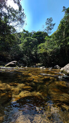 mountain river in the forest