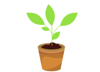 植木鉢と観葉植物 ベクターイラスト素材