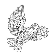 Hand drawn of humming bird in zentangle style