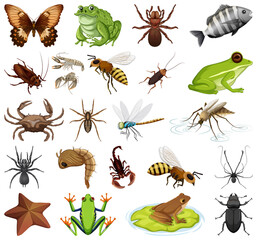 Different kinds of insects and animals on white background - obrazy, fototapety, plakaty