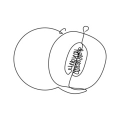 Continuous single one line drawing of fresh fruit green melon vector illustration