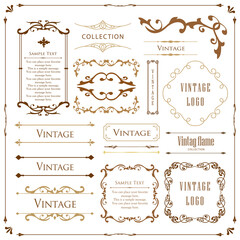 春の植物モチーフのフレームセット。ビンテージフラワー。装飾デザイン。流行りのあしらい	
