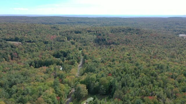 Forward aerial dolly following a barely visible dirt road through the early autumn of the adirondacks. mixed deciduous forest just changing color.