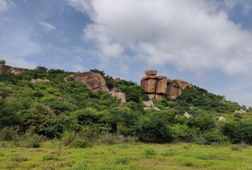 rocks surrounded by greenery